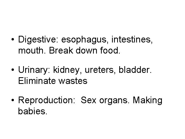  • Digestive: esophagus, intestines, mouth. Break down food. • Urinary: kidney, ureters, bladder.