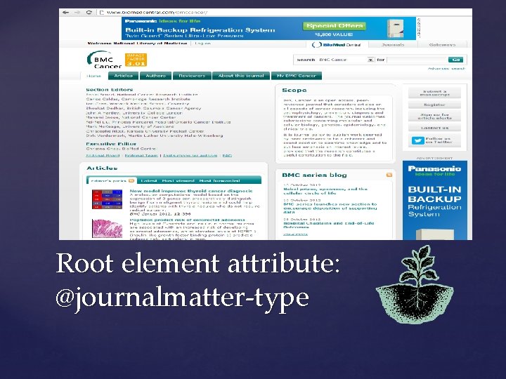 Root element attribute: @journalmatter-type 