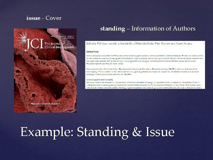 issue - Cover standing – Information of Authors Example: Standing & Issue 