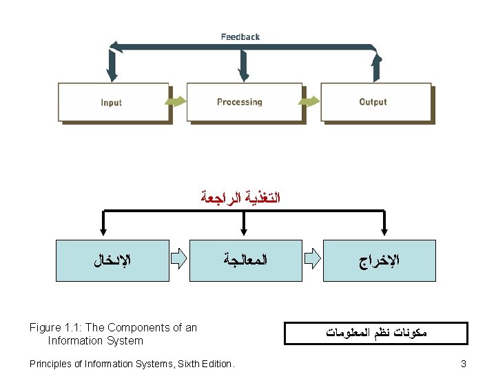  ﺍﻟﺘﻐﺬﻳﺔ ﺍﻟﺮﺍﺟﻌﺔ ﺍﻹﺩﺧﺎﻝ ﺍﻟﻤﻌﺎﻟﺠﺔ Figure 1. 1: The Components of an Information System