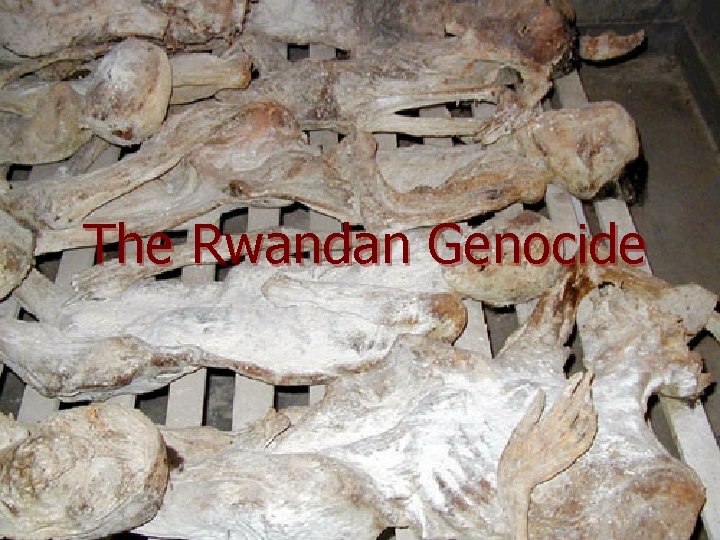 The Rwandan Genocide 