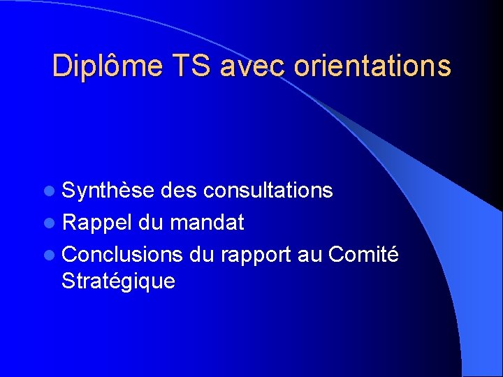 Diplôme TS avec orientations l Synthèse des consultations l Rappel du mandat l Conclusions