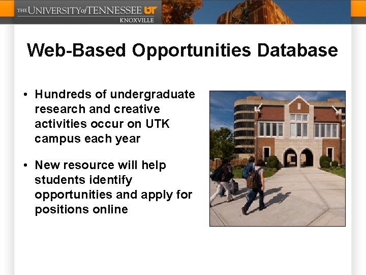 Web-Based Opportunities Database • Hundreds of undergraduate research and creative activities occur on UTK