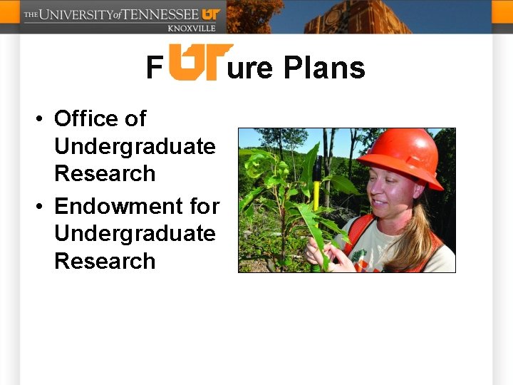 F • Office of Undergraduate Research • Endowment for Undergraduate Research ure Plans 