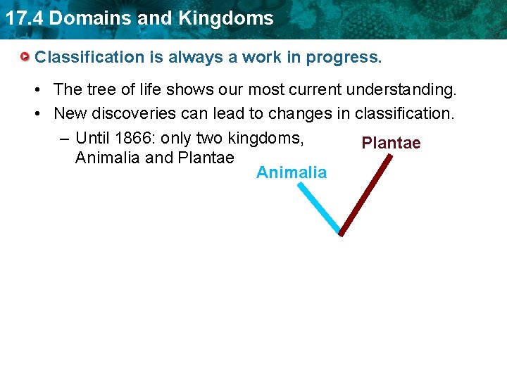 17. 4 Domains and Kingdoms Classification is always a work in progress. • The