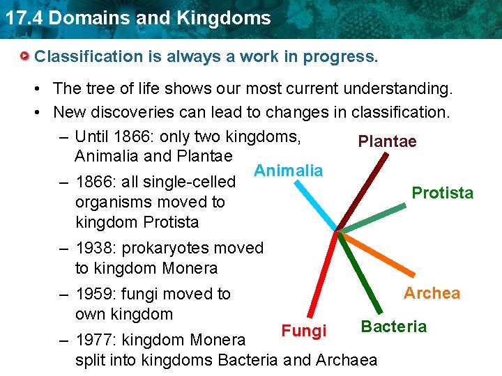 17. 4 Domains and Kingdoms Classification is always a work in progress. • The