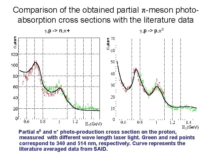 Comparison of the obtained partial -meson photoabsorption cross sections with the literature data ,