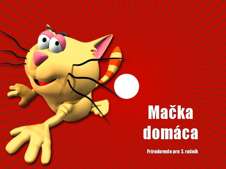 Mačka domáca Prírodoveda pre 3. ročník 