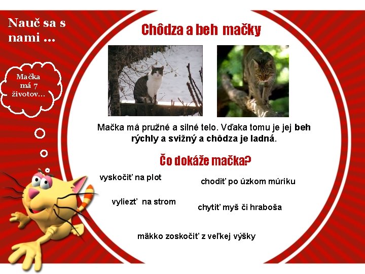 Nauč sa s nami. . . Chôdza a beh mačky Mačka má 7 životov.