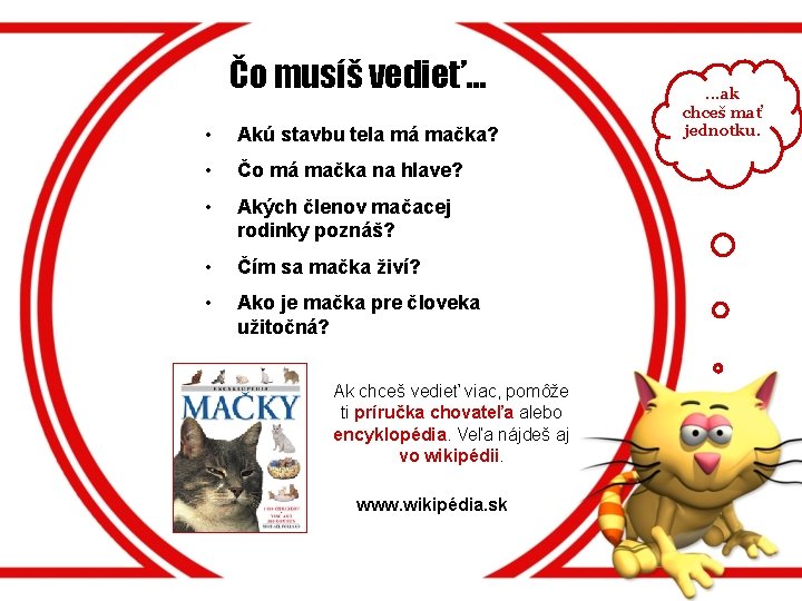 Čo musíš vedieť. . . • Akú stavbu tela má mačka? • Čo má