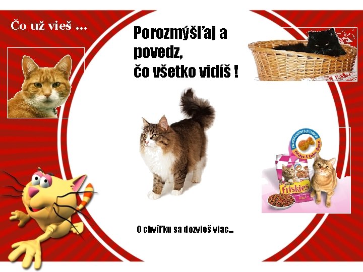 Čo už vieš. . . Porozmýšľaj a povedz, čo všetko vidíš ! O chvíľku