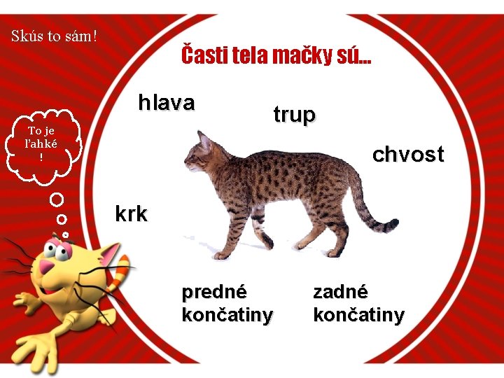 Skús to sám! Časti tela mačky sú. . . hlava To je ľahké !