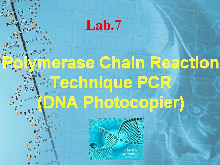 Lab. 7 Polymerase Chain Reaction Technique PCR (DNA Photocopier) 1 