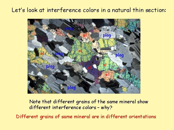 Let’s look at interference colors in a natural thin section: plag ol ol plag