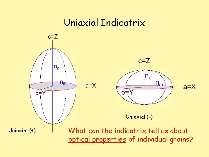 Uniaxial Indicatrix Uniaxial (-) Uniaxial (+) What can the indicatrix tell us about optical