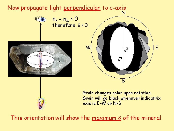 Now propagate light perpendicular to c-axis N ne - n w > 0 therefore,