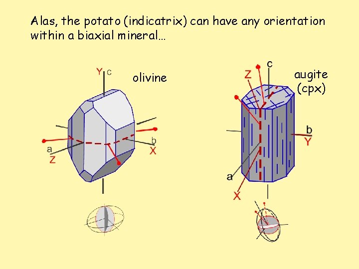 Alas, the potato (indicatrix) can have any orientation within a biaxial mineral… olivine augite