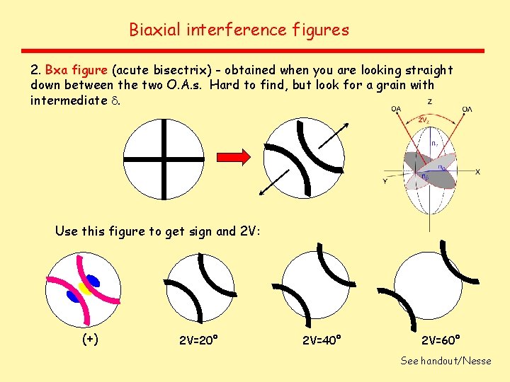 Biaxial interference figures 2. Bxa figure (acute bisectrix) - obtained when you are looking