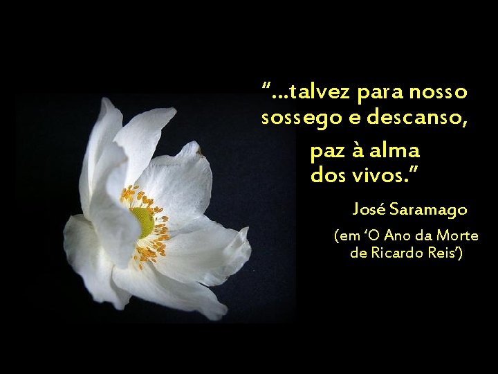 “. . . talvez para nosso sossego e descanso, paz à alma dos vivos.