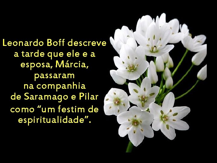 Leonardo Boff descreve a tarde que ele e a esposa, Márcia, passaram na companhia