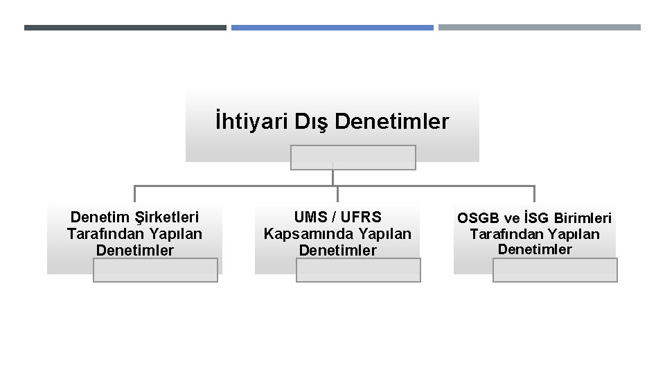 İhtiyari Dış Denetimler Denetim Şirketleri Tarafından Yapılan Denetimler UMS / UFRS Kapsamında Yapılan Denetimler