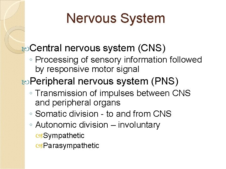 Nervous System Central nervous system (CNS) ◦ Processing of sensory information followed by responsive