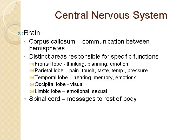 Central Nervous System Brain ◦ Corpus callosum – communication between hemispheres ◦ Distinct areas