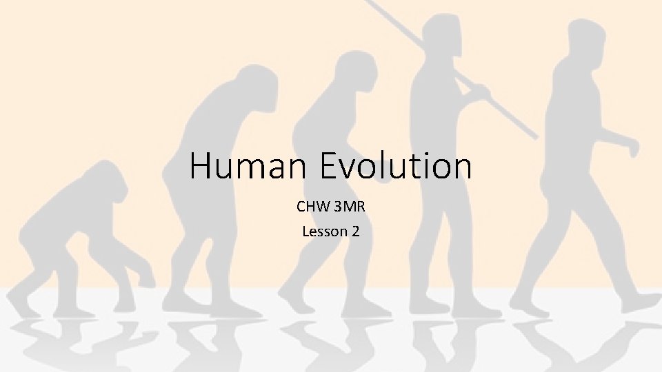 Human Evolution CHW 3 MR Lesson 2 