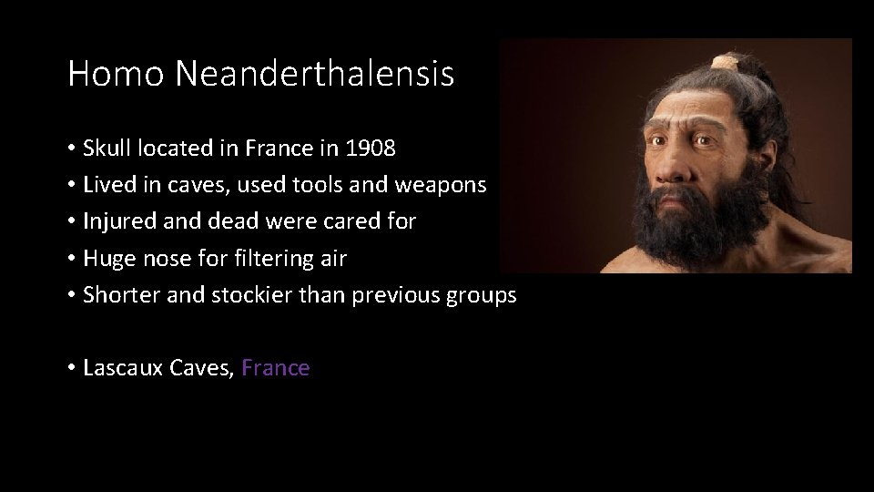 Homo Neanderthalensis • Skull located in France in 1908 • Lived in caves, used