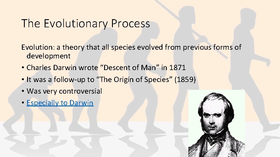 The Evolutionary Process Evolution: a theory that all species evolved from previous forms of