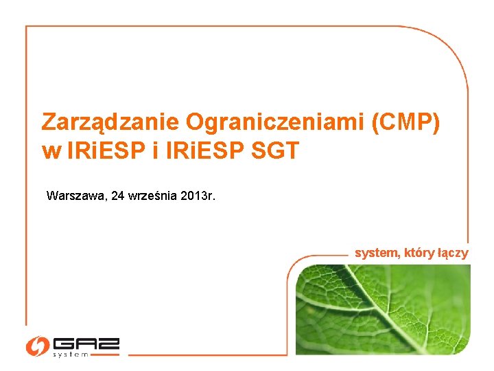 Zarządzanie Ograniczeniami (CMP) w IRi. ESP i IRi. ESP SGT Warszawa, 24 września 2013