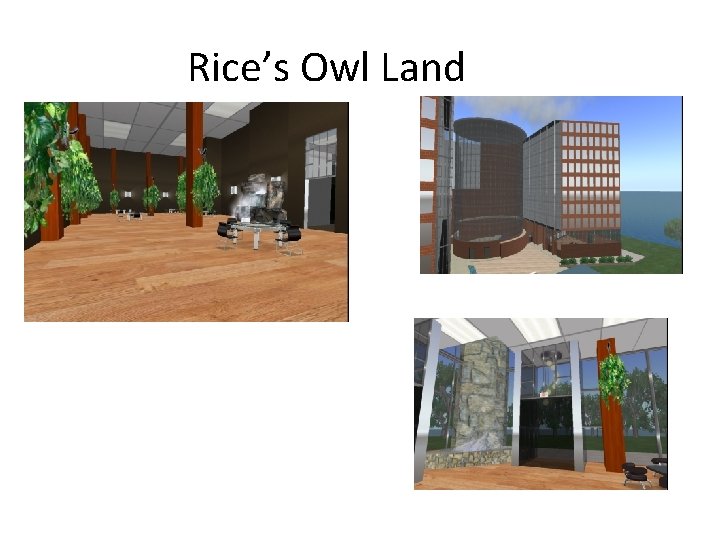 Rice’s Owl Land 