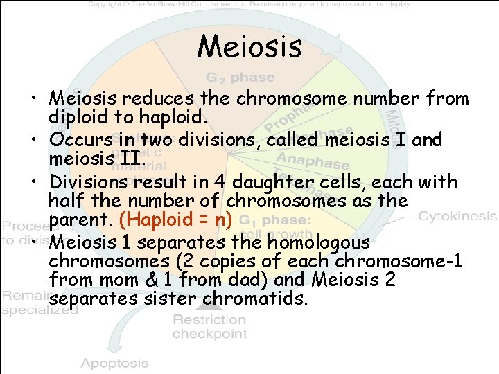 Meiosis • Meiosis reduces the chromosome number from diploid to haploid. • Occurs in