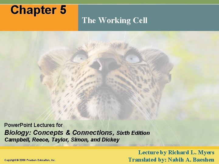 Chapter 5 The Working Cell Power. Point Lectures for Biology: Concepts & Connections, Sixth