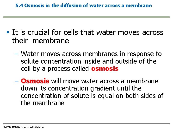 5. 4 Osmosis is the diffusion of water across a membrane § It is