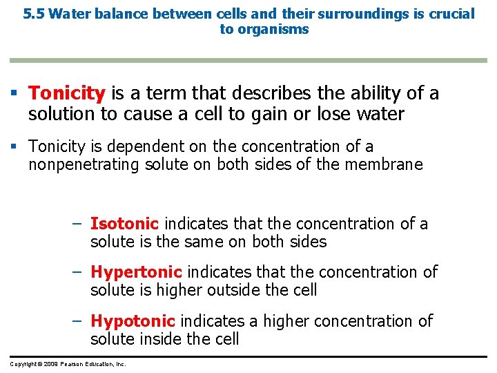 5. 5 Water balance between cells and their surroundings is crucial to organisms §