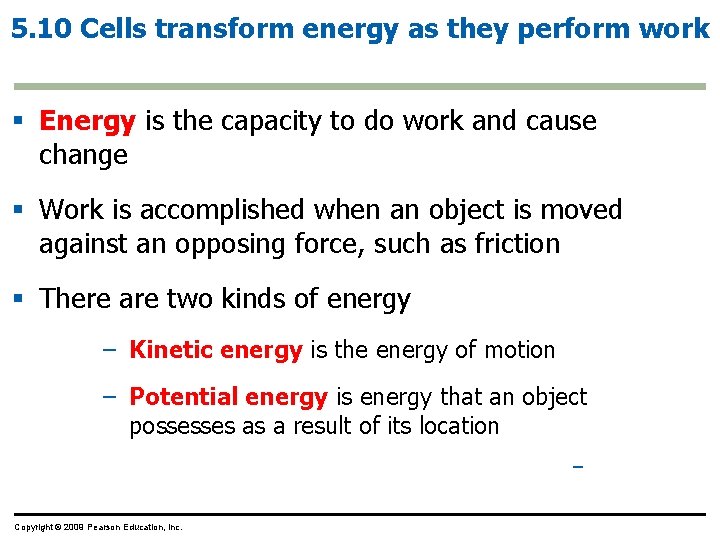 5. 10 Cells transform energy as they perform work § Energy is the capacity