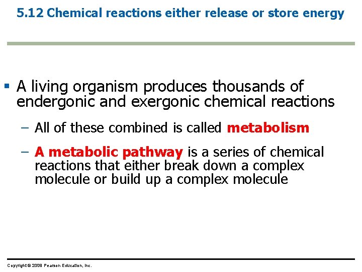 5. 12 Chemical reactions either release or store energy § A living organism produces