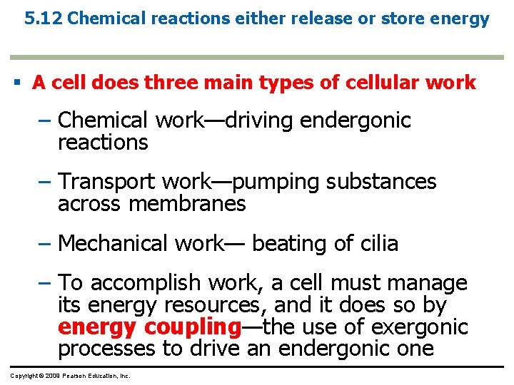 5. 12 Chemical reactions either release or store energy § A cell does three