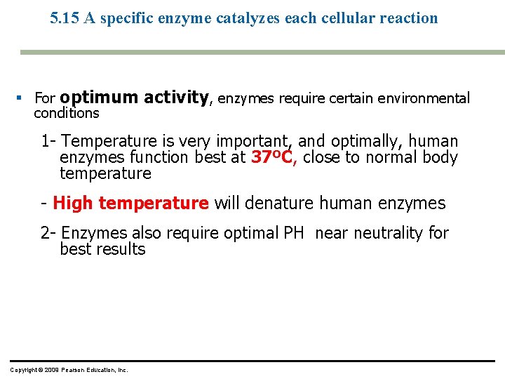 5. 15 A specific enzyme catalyzes each cellular reaction § For optimum activity, enzymes