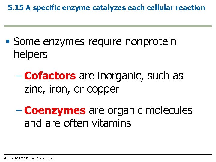 5. 15 A specific enzyme catalyzes each cellular reaction § Some enzymes require nonprotein