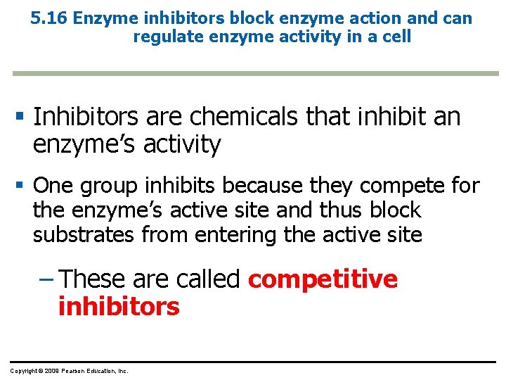 5. 16 Enzyme inhibitors block enzyme action and can regulate enzyme activity in a