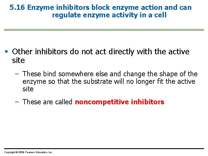 5. 16 Enzyme inhibitors block enzyme action and can regulate enzyme activity in a