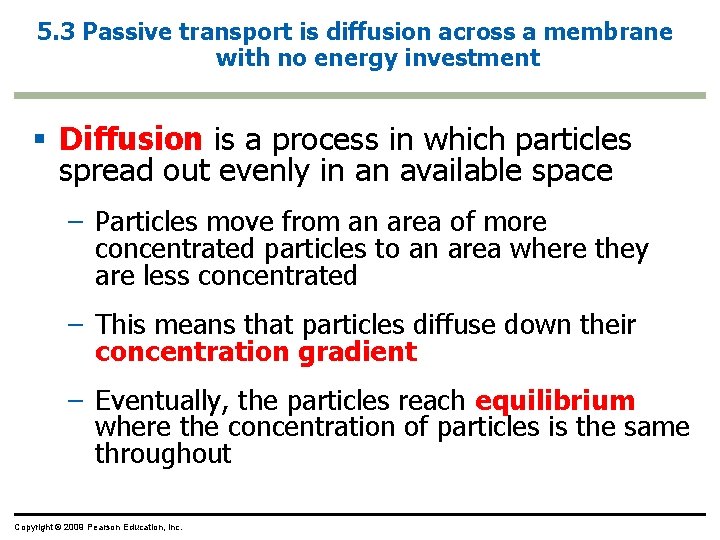 5. 3 Passive transport is diffusion across a membrane with no energy investment §