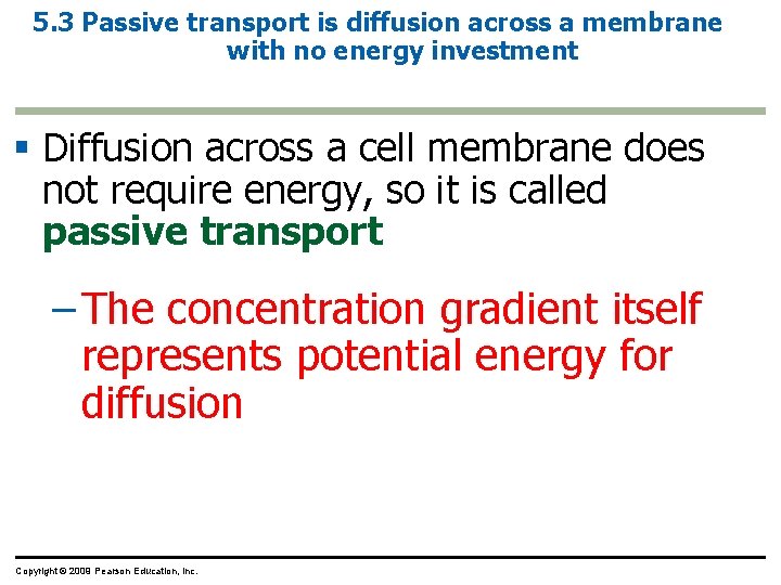 5. 3 Passive transport is diffusion across a membrane with no energy investment §