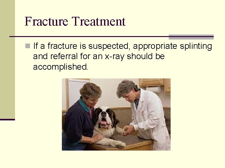 Fracture Treatment n If a fracture is suspected, appropriate splinting and referral for an