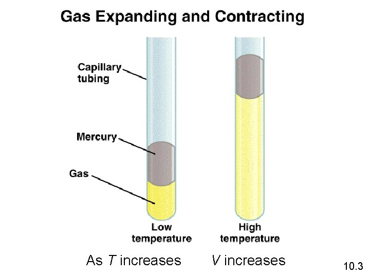 As T increases V increases 10. 3 