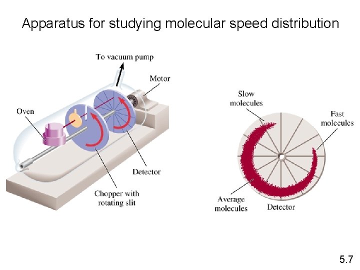 Apparatus for studying molecular speed distribution 5. 7 