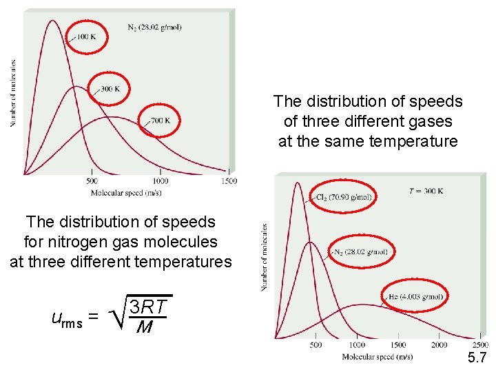 The distribution of speeds of three different gases at the same temperature The distribution