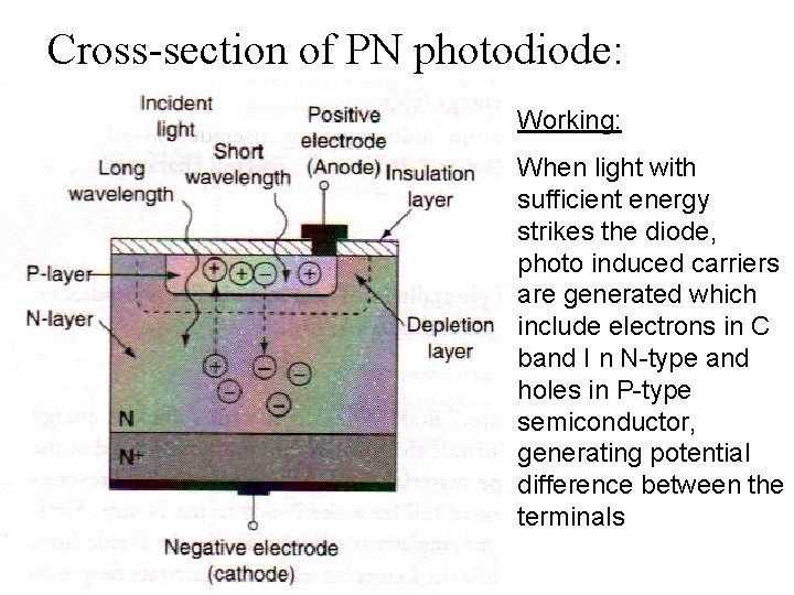 Cross-section of PN photodiode: Working: When light with sufficient energy strikes the diode, photo
